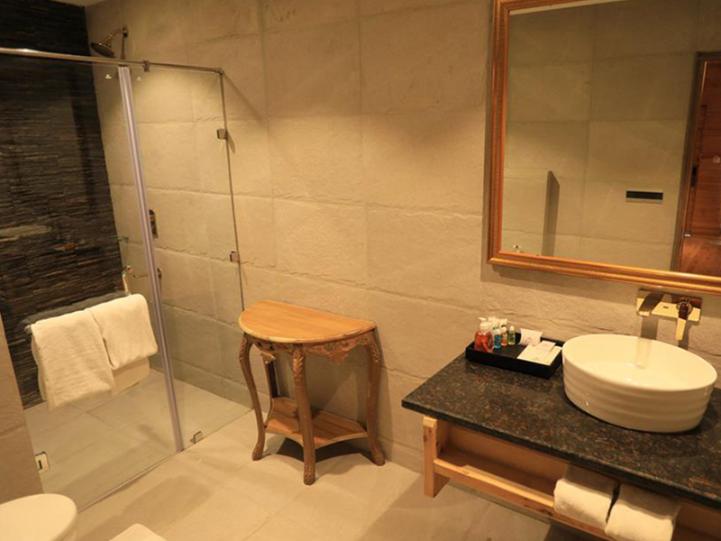 Deventure Hotel - Shimla